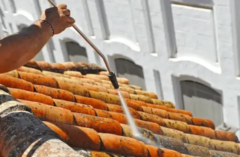 Nettoyage de toitures - Fareins